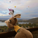 Kangaroo Takes a Unicorn on an Australian Adventure in Global ... - Little Black Book - LBBonline