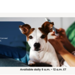 Chewy's push into pet telehealth runs into regulatory hurdles, skeptical veterinarians – CNBC