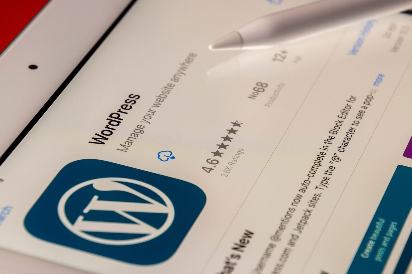 WordPress Accessibility: Making Your Website Inclusive for All