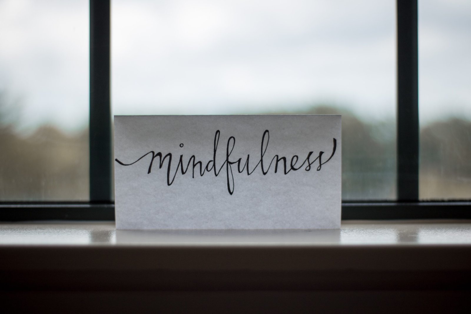 Discovering Mindfulness: A Beginner's Guide