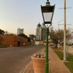 A lamp post with a potted plant on the side of it