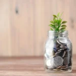Saving money and building wealth concept with plant in jar