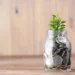 Saving money and building wealth concept with plant in jar