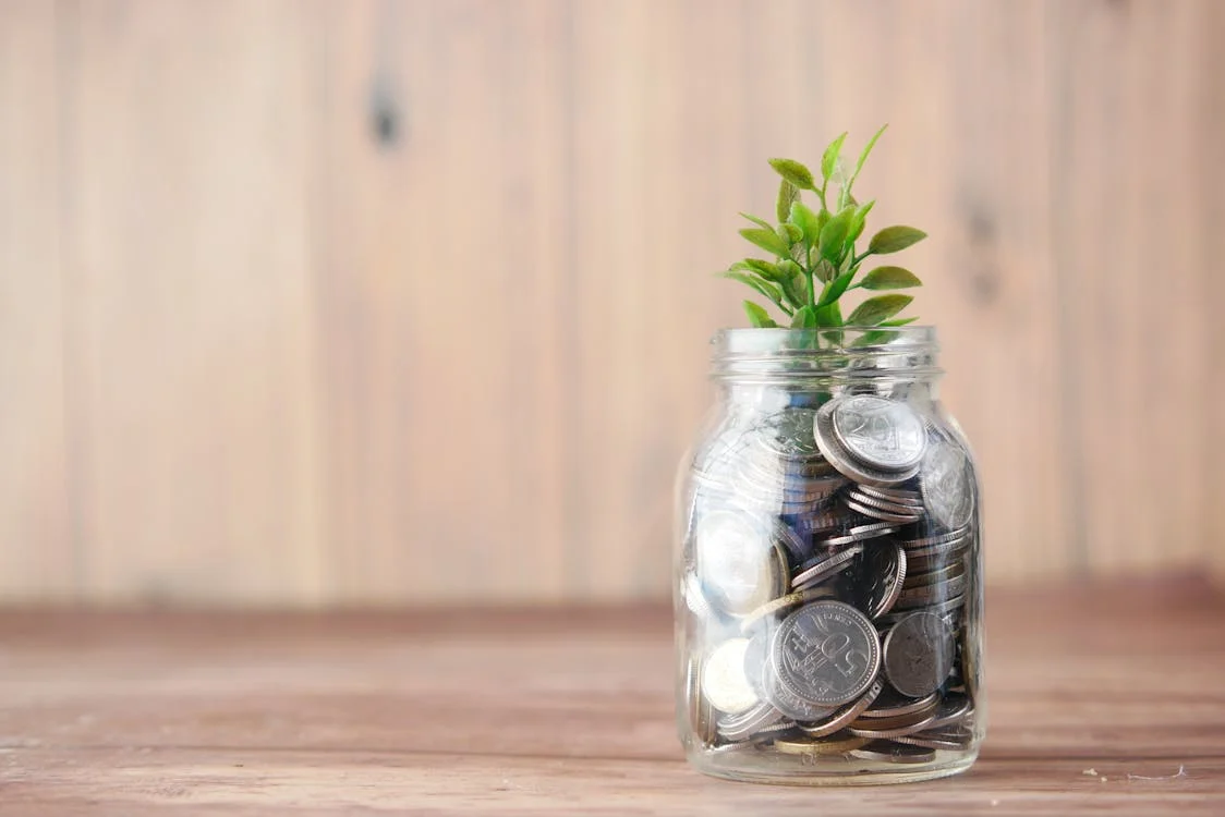 Saving money and building wealth concept with plant in jar